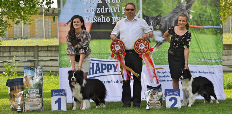 Výsledky Špeciálna výstava Vlčkovce, 5.5.2018
