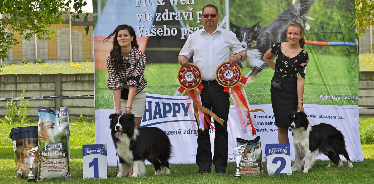 Výsledky Špeciálna výstava Vlčkovce, 5.5.2018