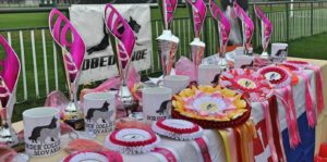 MSR-Obedience-2019